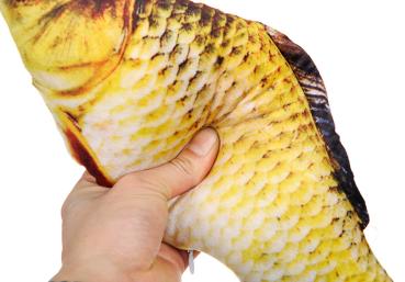 360Home Simulierte Karpfen Fisch Plüschkissen Katzenspielzeug